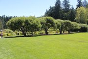 68 - Butchard Gardens  - IMG_1666